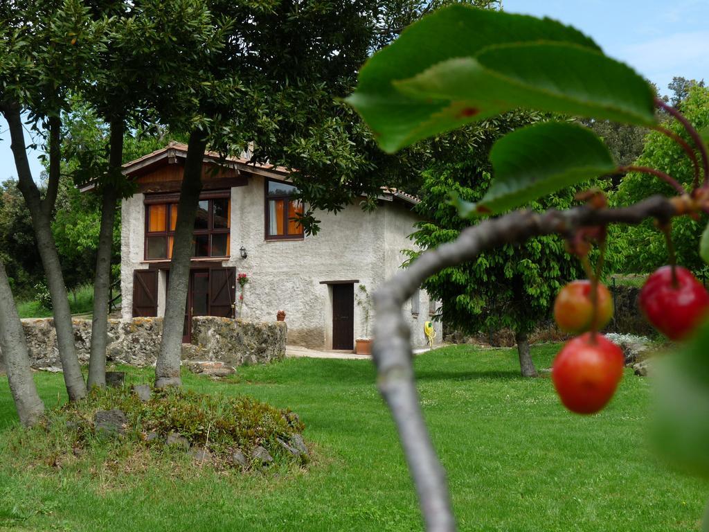 Can Janot Vila Olot Exterior foto
