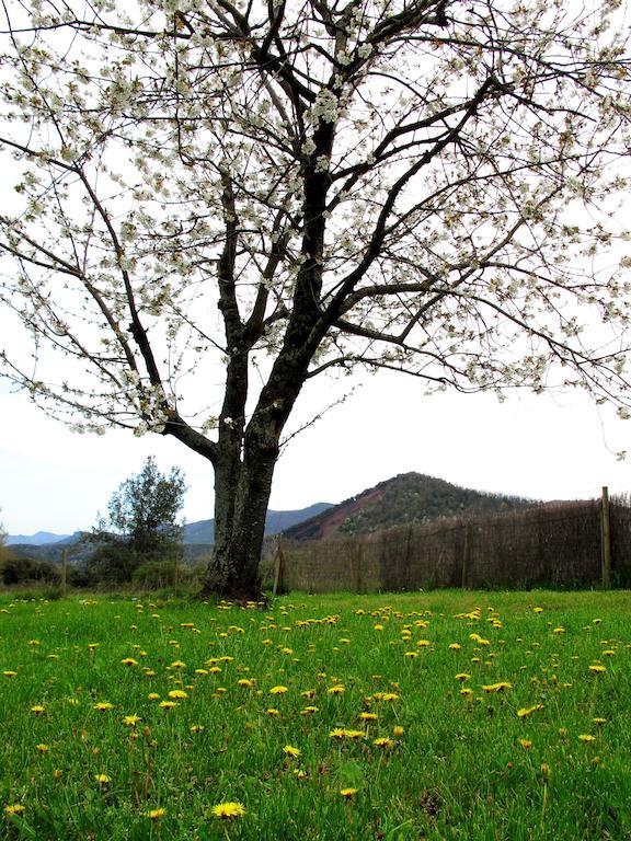 Can Janot Vila Olot Quarto foto